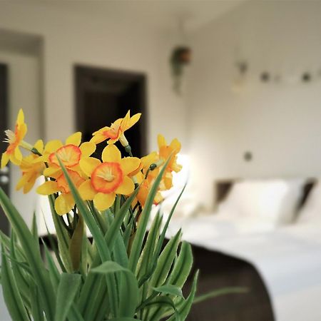 The Evergreen Nest - Silver Mountain Poiana Brasov Quarto foto