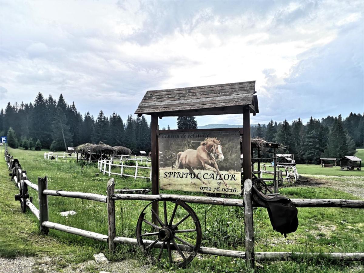 The Evergreen Nest - Silver Mountain Poiana Brasov Exterior foto