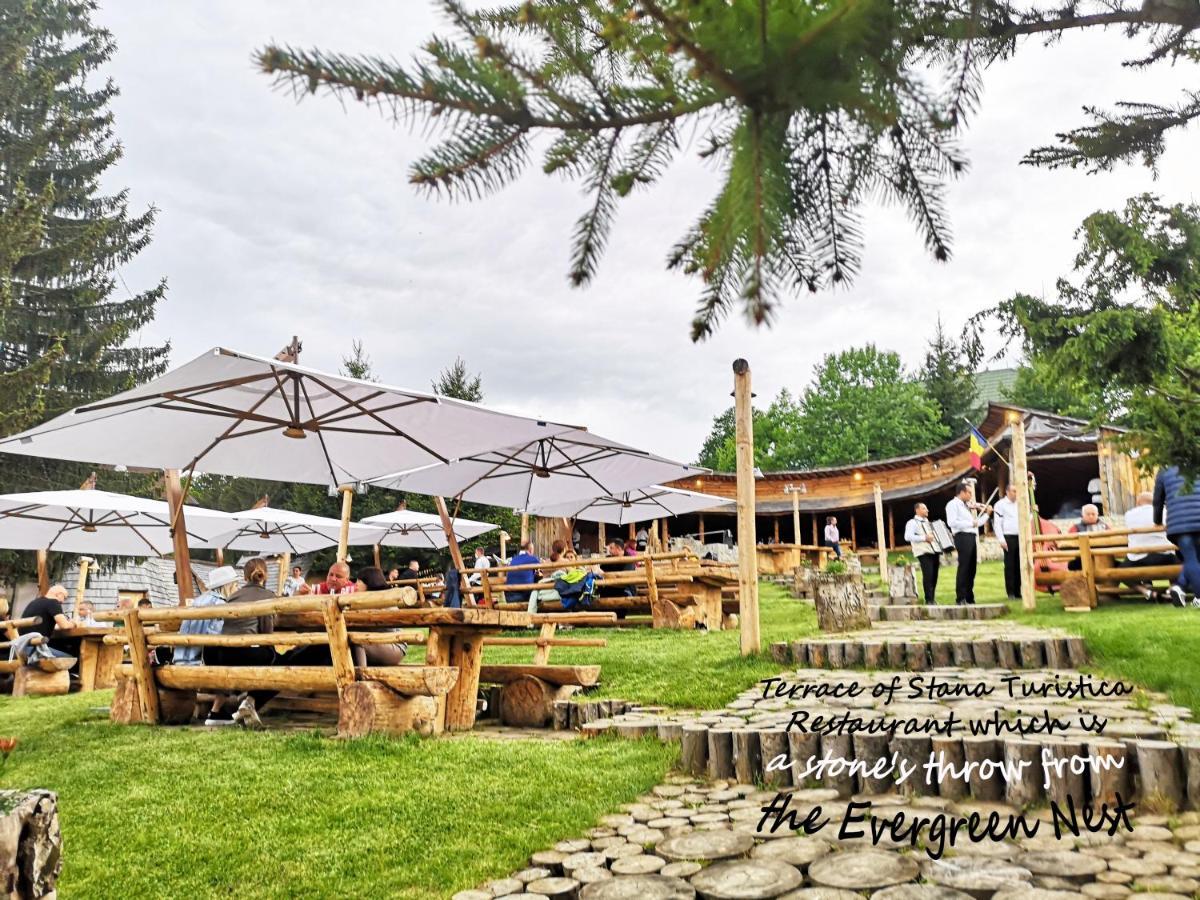 The Evergreen Nest - Silver Mountain Poiana Brasov Exterior foto