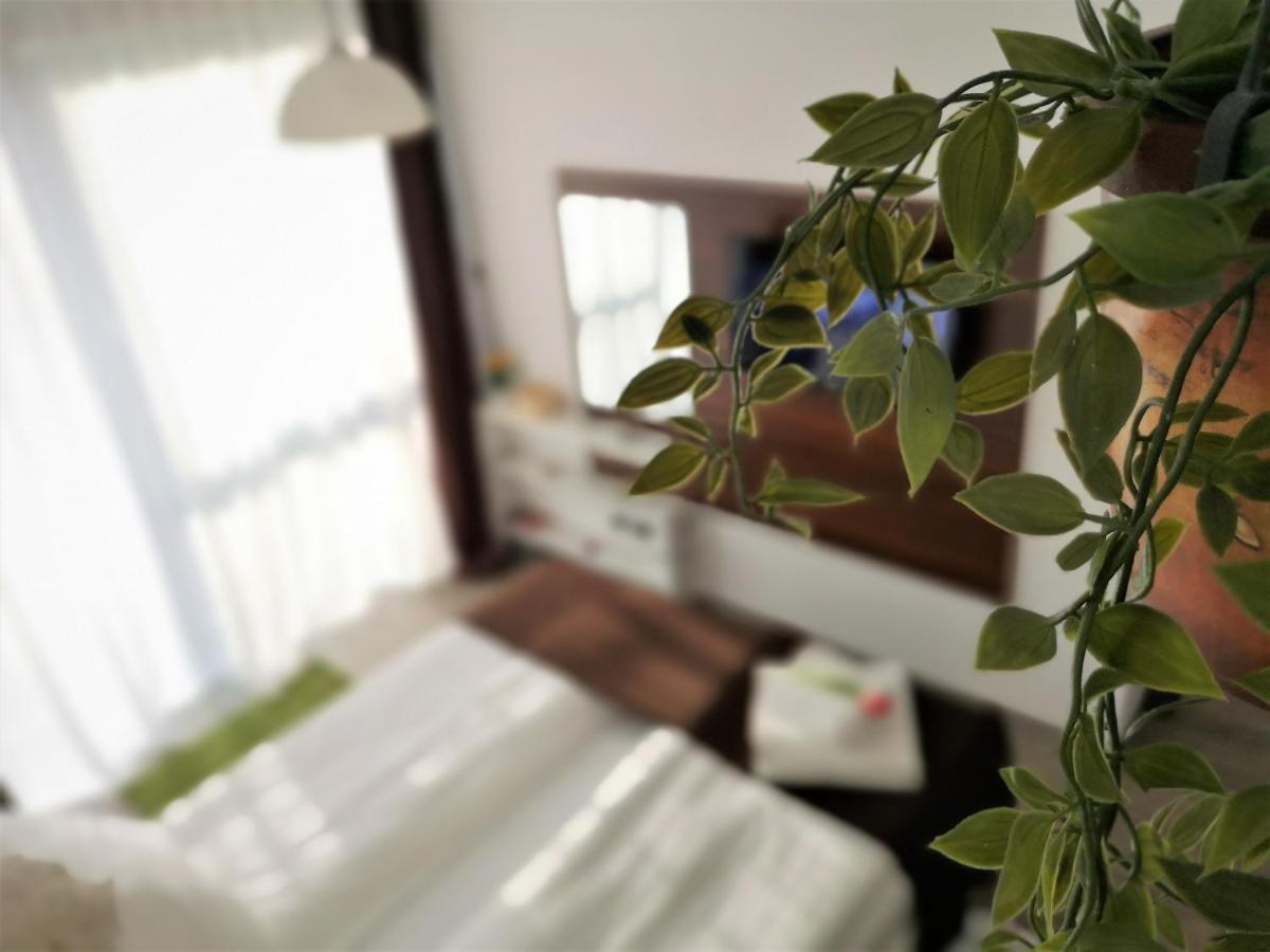 The Evergreen Nest - Silver Mountain Poiana Brasov Exterior foto
