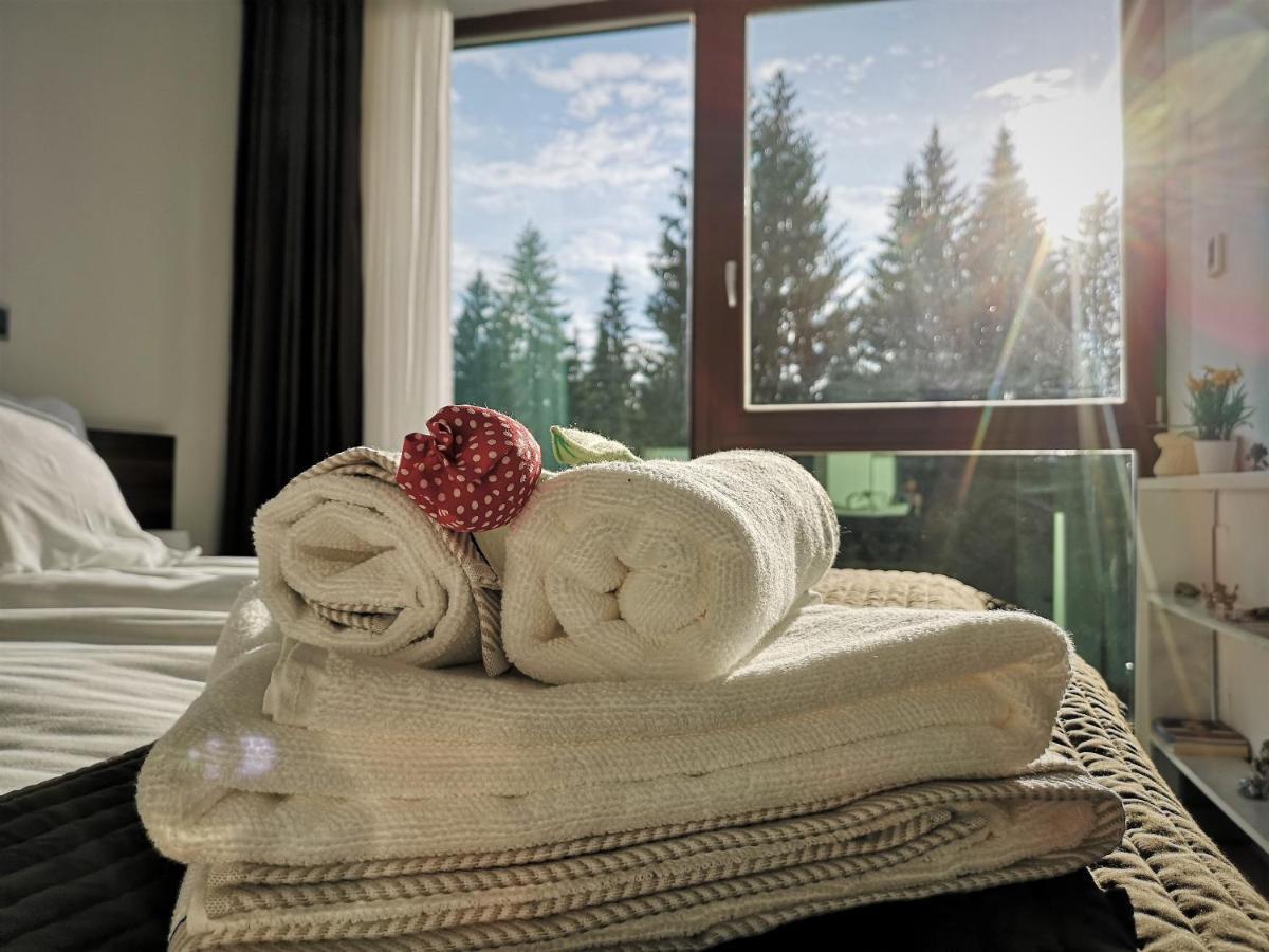 The Evergreen Nest - Silver Mountain Poiana Brasov Exterior foto