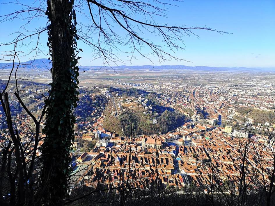 The Evergreen Nest - Silver Mountain Poiana Brasov Quarto foto