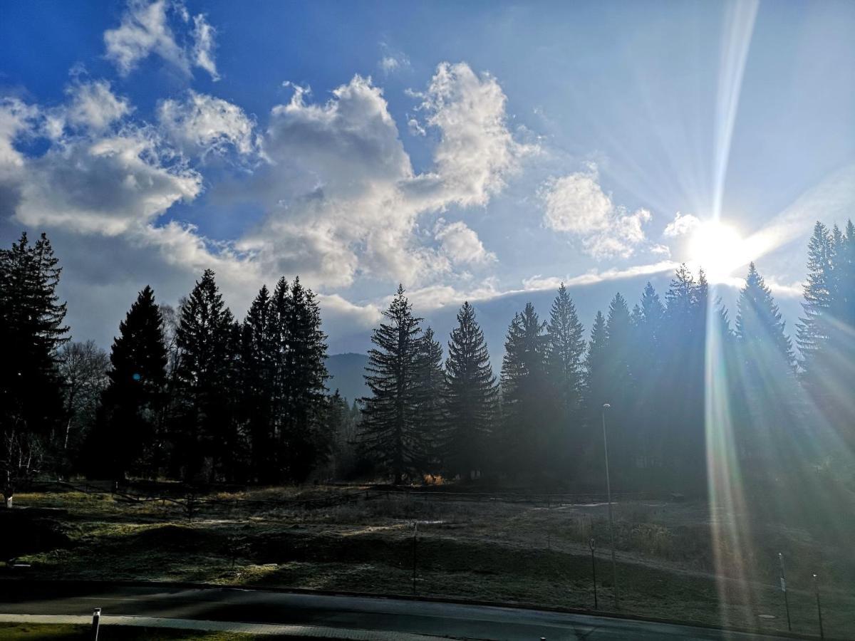 The Evergreen Nest - Silver Mountain Poiana Brasov Exterior foto